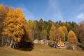 20101104_160313 Alpe Damino.jpg